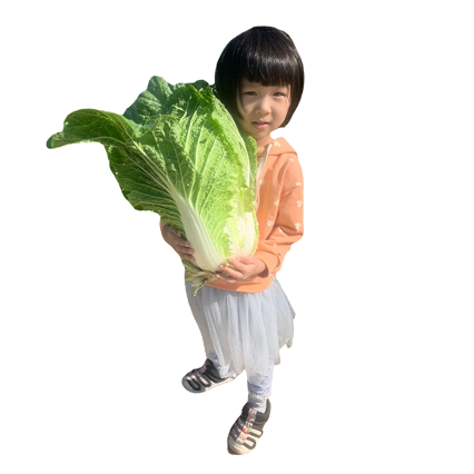 金門翟家食品 2